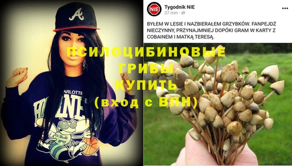 гидропоника Белоозёрский