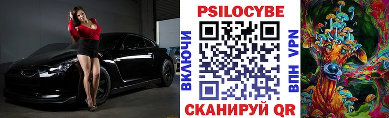 Псилоцибиновые грибы Cubensis  Орск 